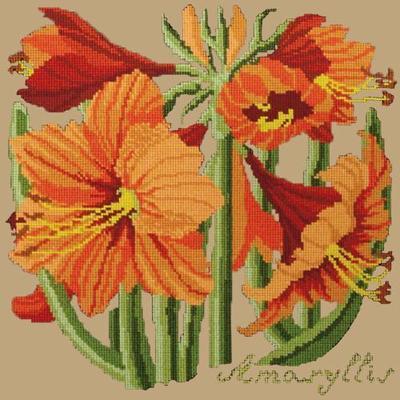 Amaryllis Needlepoint Kit Kits Elizabeth Bradley Design Sand 