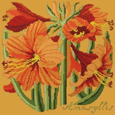 Amaryllis Needlepoint Kit Kits Elizabeth Bradley Design Yellow 