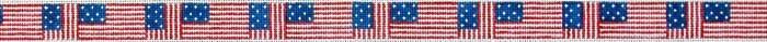 American Flag Belt - Repeated on 14 Painted Canvas The Meredith Collection