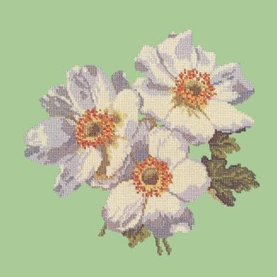 Anemone Needlepoint Kit Kits Elizabeth Bradley Design Pale Green
