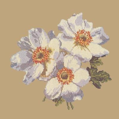 Anemone Needlepoint Kit Kits Elizabeth Bradley Design Sand