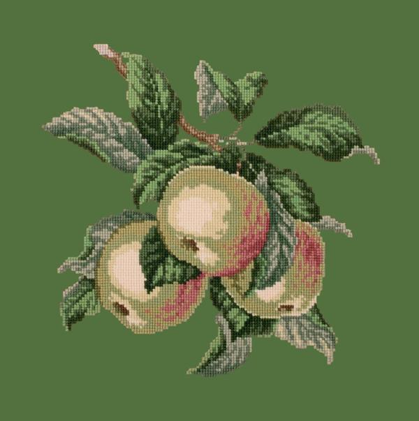 Apples Needlepoint Kit Kits Elizabeth Bradley Design