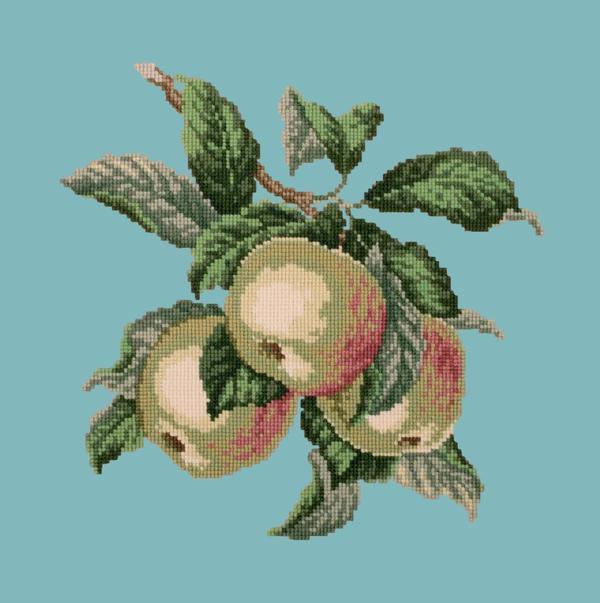 Apples Needlepoint Kit Kits Elizabeth Bradley Design