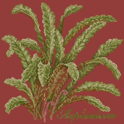 Asplenium Needlepoint Kit Kits Elizabeth Bradley Design Dark Red 