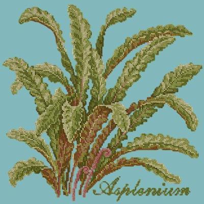 Asplenium Needlepoint Kit Kits Elizabeth Bradley Design Duck Egg Blue 