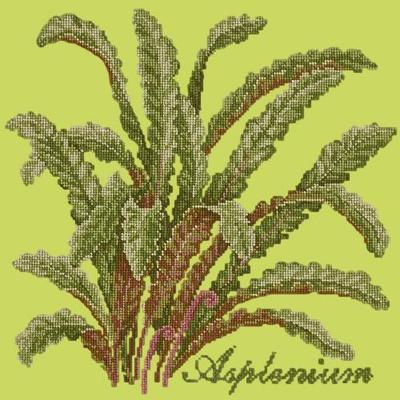 Asplenium Needlepoint Kit Kits Elizabeth Bradley Design Pale Lime