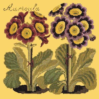 Auricula Needlepoint Kit Kits Elizabeth Bradley Design Sunflower Yellow 