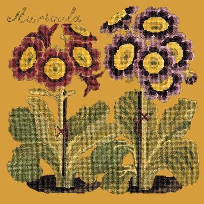 Auricula Needlepoint Kit Kits Elizabeth Bradley Design Yellow 