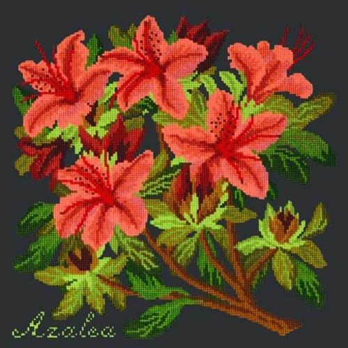 Azalea Needlepoint Kit Kits Elizabeth Bradley Design