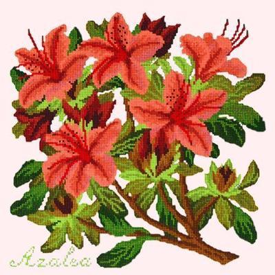 Azalea Needlepoint Kit Kits Elizabeth Bradley Design