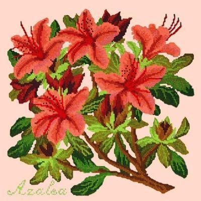 Azalea Needlepoint Kit Kits Elizabeth Bradley Design Salmon Pink