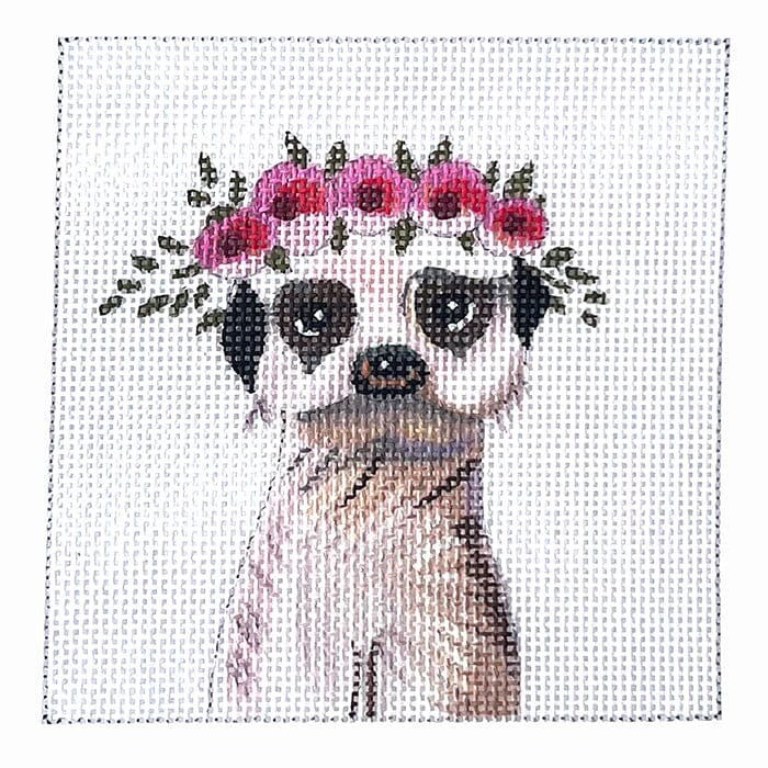 Baby Meerkat Painted Canvas Colors of Praise