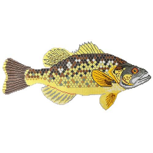 Bass Painted Canvas Danji Designs - 1