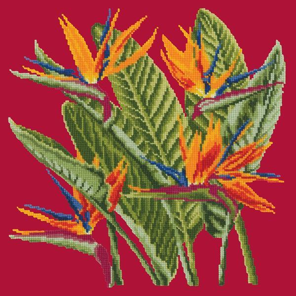 Bird of Paradise Needlepoint Kit Kits Elizabeth Bradley Design Bright Red