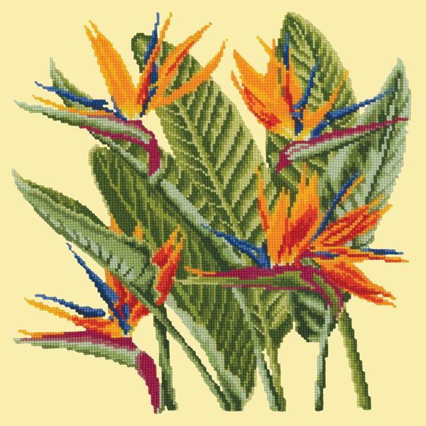 Bird of Paradise Needlepoint Kit Kits Elizabeth Bradley Design Butter Yellow
