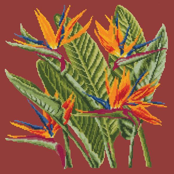 Bird of Paradise Needlepoint Kit Kits Elizabeth Bradley Design Dark Red
