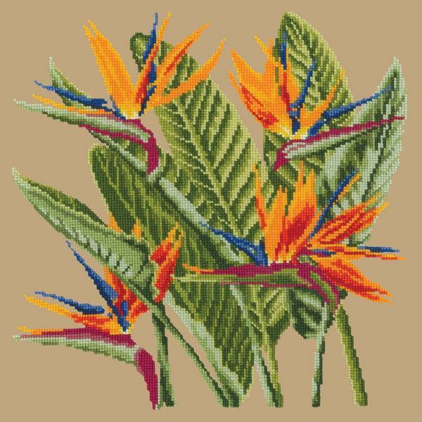 Bird of Paradise Needlepoint Kit Kits Elizabeth Bradley Design Sand
