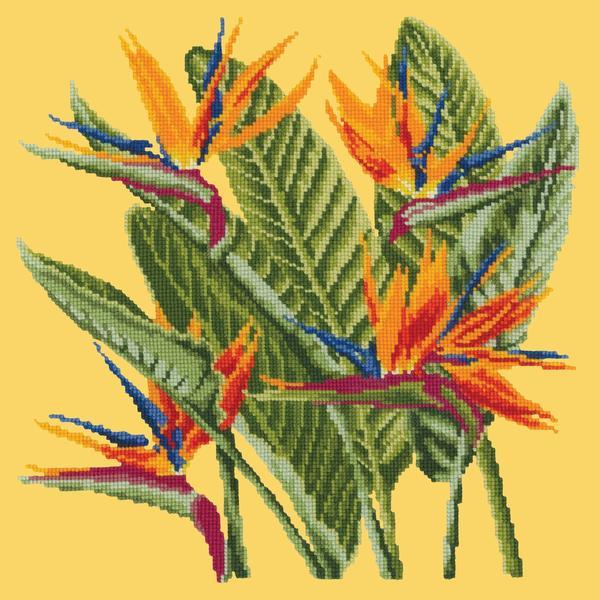 Bird of Paradise Needlepoint Kit Kits Elizabeth Bradley Design Sunflower Yellow