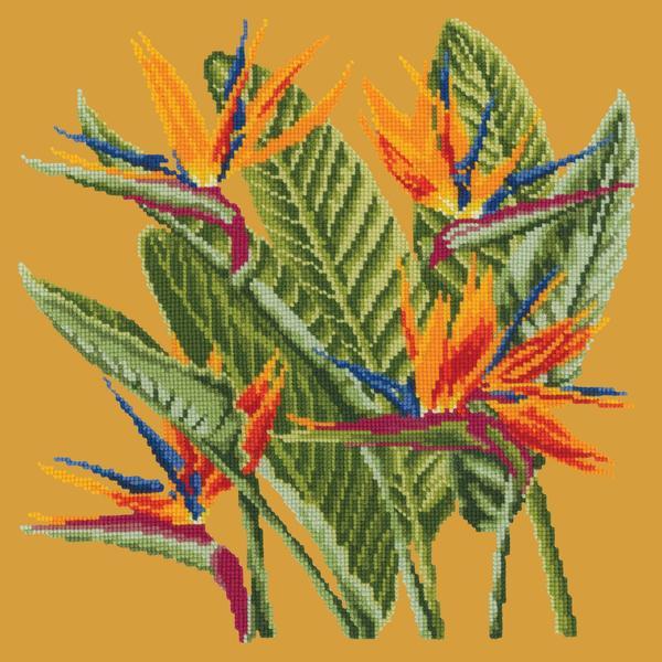 Bird of Paradise Needlepoint Kit Kits Elizabeth Bradley Design Yellow