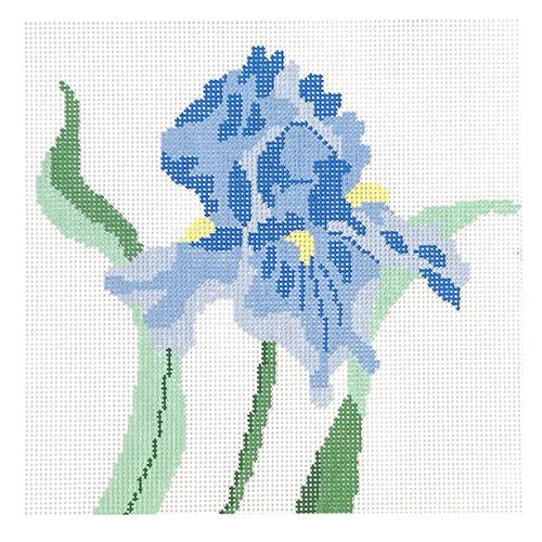 Blue Iris Bloom Painted Canvas Jean Smith