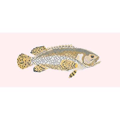 Brindled Grouper Needlepoint Kit Kits Elizabeth Bradley Design Cream