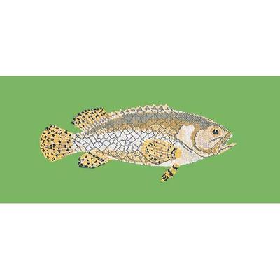 Brindled Grouper Needlepoint Kit Kits Elizabeth Bradley Design Grass Green