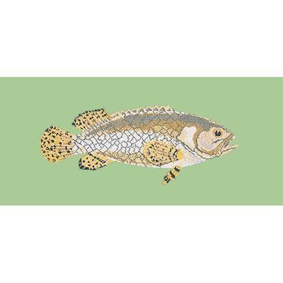 Brindled Grouper Needlepoint Kit Kits Elizabeth Bradley Design Pale Green