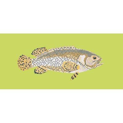 Brindled Grouper Needlepoint Kit Kits Elizabeth Bradley Design Pale Lime