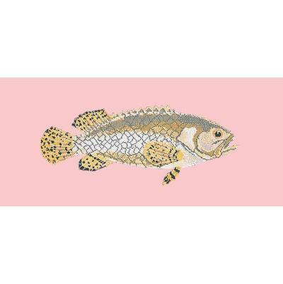 Brindled Grouper Needlepoint Kit Kits Elizabeth Bradley Design Pale Rose