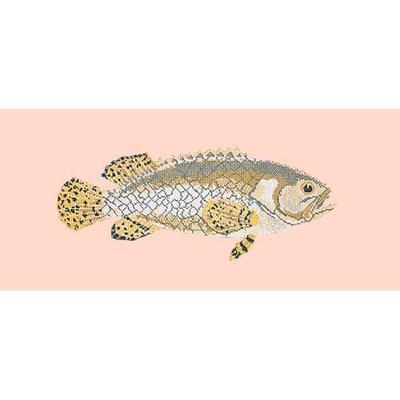 Brindled Grouper Needlepoint Kit Kits Elizabeth Bradley Design Salmon Pink