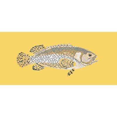 Brindled Grouper Needlepoint Kit Kits Elizabeth Bradley Design Sunflower Yellow