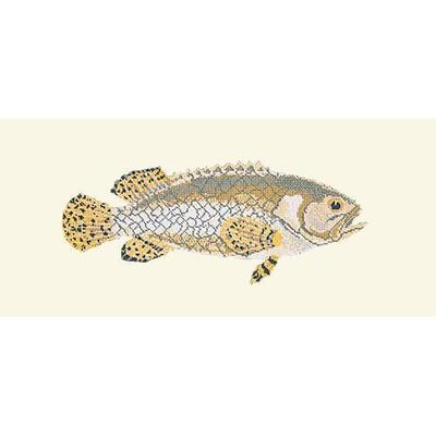 Brindled Grouper Needlepoint Kit Kits Elizabeth Bradley Design Winter White
