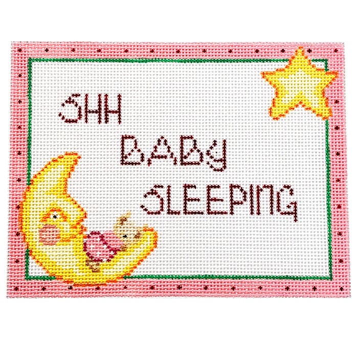 Bunny Sleeping on the Moon Painted Canvas NeedleDeeva