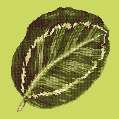 Calathea Leaf Needlepoint Kit Kits Elizabeth Bradley Design Pale Lime