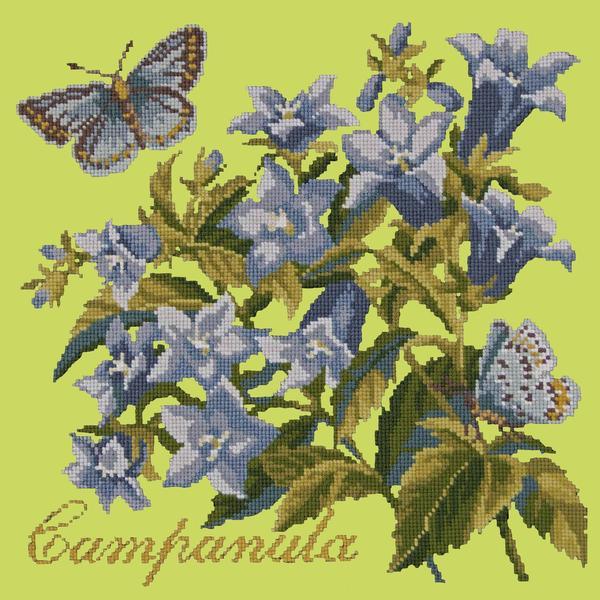 Campanula Needlepoint Kit Kits Elizabeth Bradley Design Pale Lime