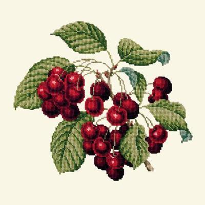 Cherries Needlepoint Kit Kits Elizabeth Bradley Design Winter White