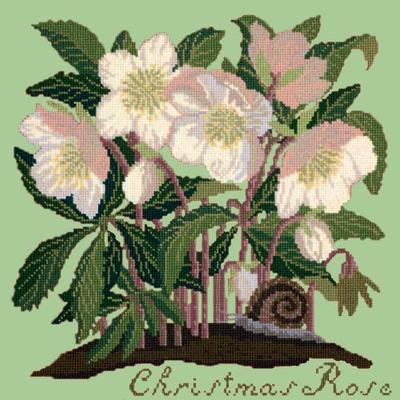 Christmas Rose Needlepoint Kit Kits Elizabeth Bradley Design Pale Green