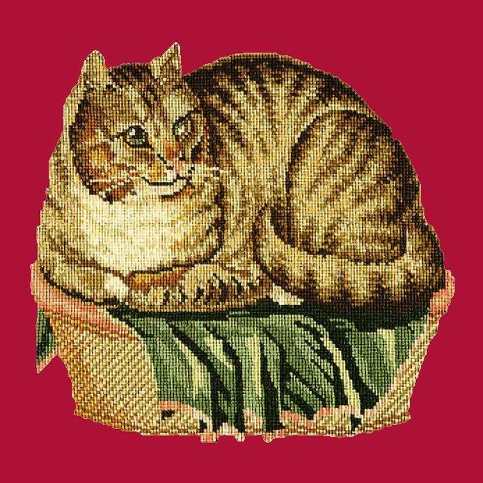 Contented Cat Needlepoint Kit Kits Elizabeth Bradley Design Bright Red 