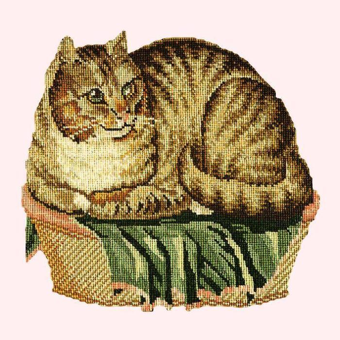 Contented Cat Needlepoint Kit Kits Elizabeth Bradley Design Cream 