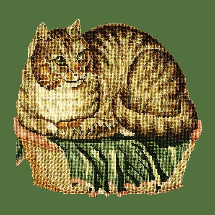 Contented Cat Needlepoint Kit Kits Elizabeth Bradley Design Dark Green 