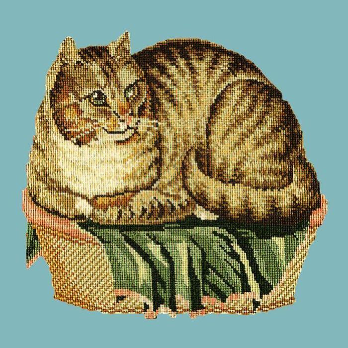 Contented Cat Needlepoint Kit Kits Elizabeth Bradley Design Duck Egg Blue 