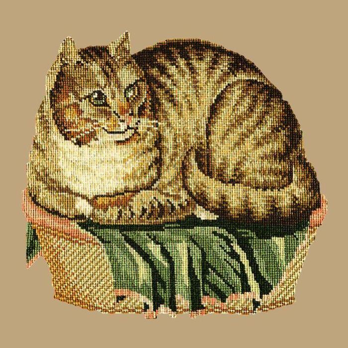 Contented Cat Needlepoint Kit Kits Elizabeth Bradley Design Sand 