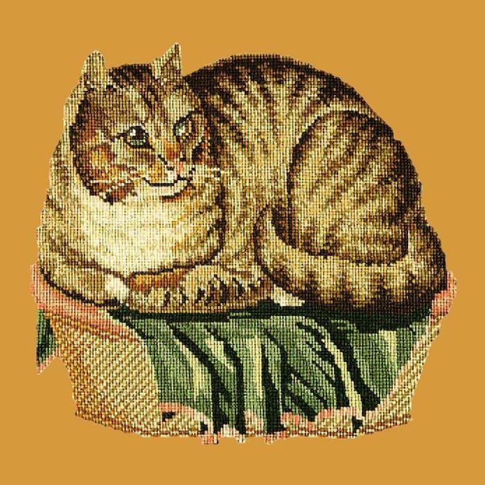 Contented Cat Needlepoint Kit Kits Elizabeth Bradley Design Yellow 