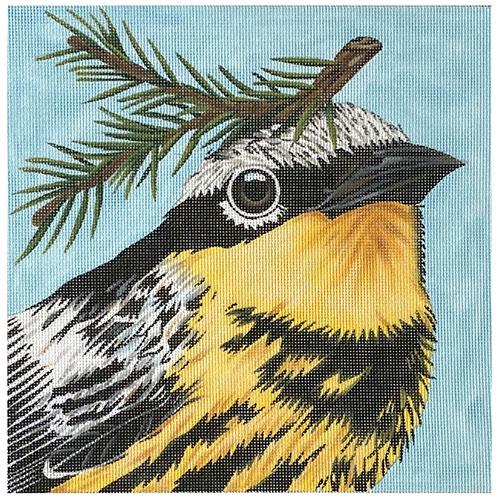 Cooper the Magnolia Warbler Painted Canvas Melissa Shirley Designs
