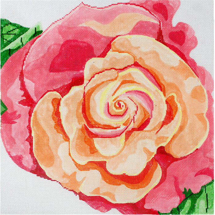 Coral Rose Painted Canvas Jean Smith