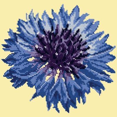 Cornflower 12" Needlepoint Kit Kits Elizabeth Bradley Design Butter Yellow