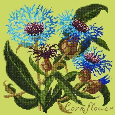 Cornflower Needlepoint Kit Kits Elizabeth Bradley Design Pale Lime