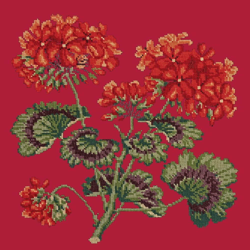 Cottage Garden Geranium Needlepoint Kit Kits Elizabeth Bradley Design Bright Red