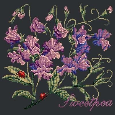 Cottage Garden Sweetpea Needlepoint Kit Kits Elizabeth Bradley Design Black