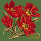 Cottage Garden Tulip Needlepoint Kit Kits Elizabeth Bradley Design 